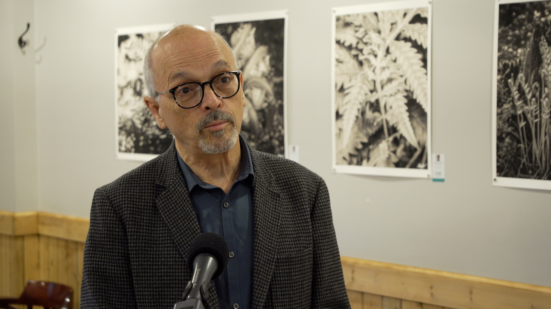 Reportage Les fougères selon Raymond Charette TVC d’Argenteuil